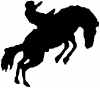 Rodeo Western Car or Truck Window Decal
