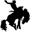 Rodeo Bronco Western Car or Truck Window Decal