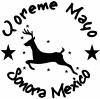 Yoreme Mayo Sonora Mexico Special Orders Car Truck Window Wall Laptop Decal Sticker