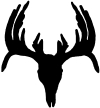 Deer Skull Mount indeginous Hunting And Fishing Car or Truck Window Decal