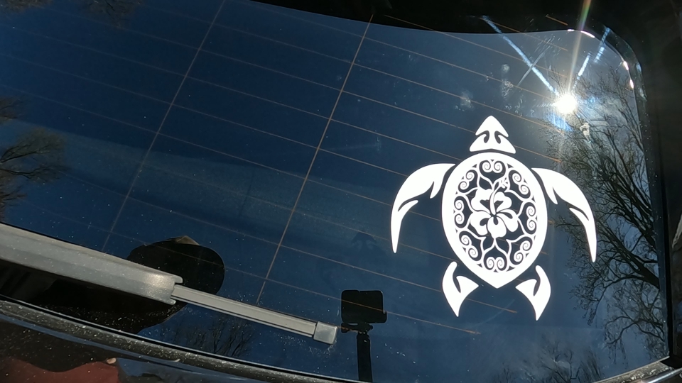 Sea Turtle Swirl Hearts Hibiscus Flower Animals Car or Truck Window Decal Sticker