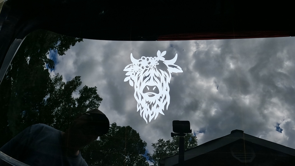 Cute Long Hair Cow with Flowers Car or Truck Window Decal Sticker Video