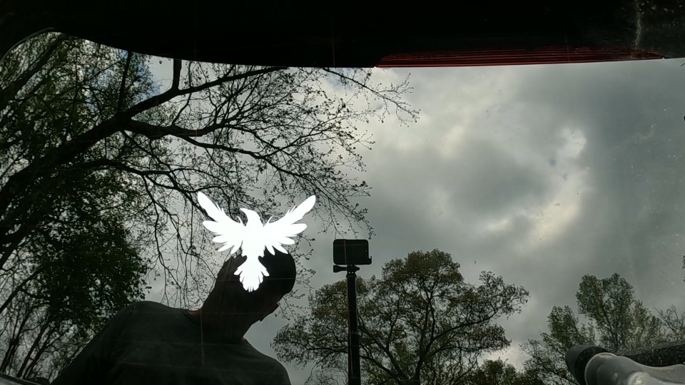Raven Crow Car or Truck Window Decal Sticker