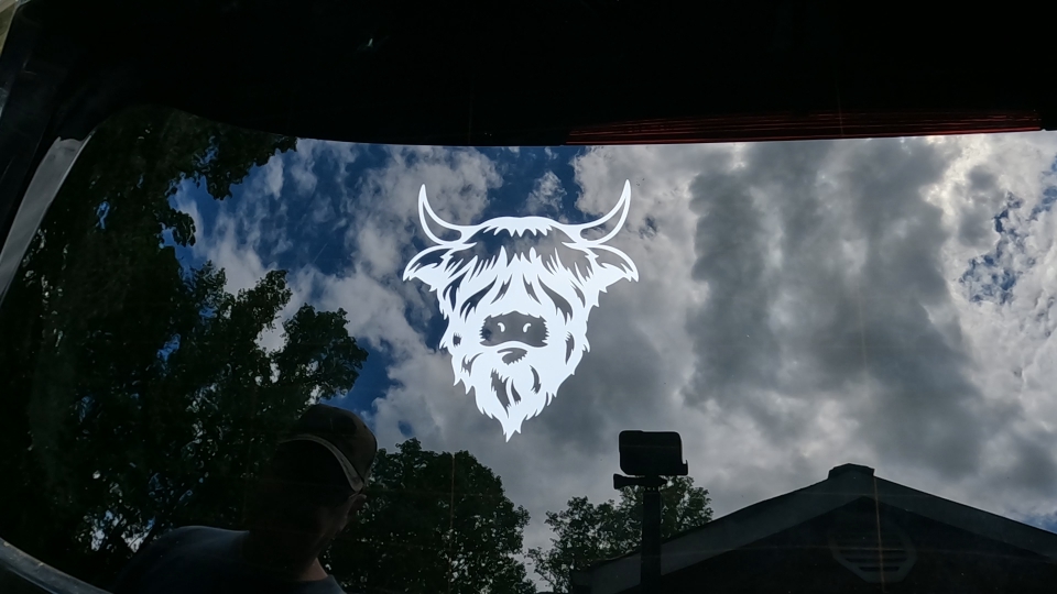 Cute Long Haired Highland Bull Car or Truck Window Decal Sticker Video