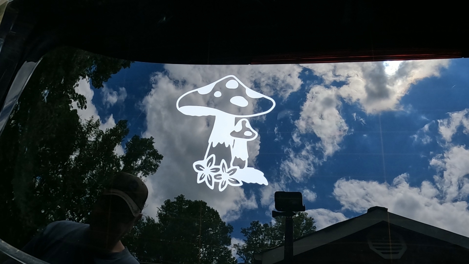 Big and small Mushroom with Flowers Car or Truck Window Decal Sticker Video