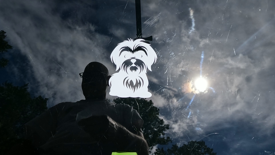 Shih Tzu Dog Car or Truck Window Decal Sticker Video