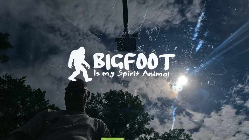 Bigfoot Is My Spirit Animal Vinyl Car or Truck Window Decal Sticker Video